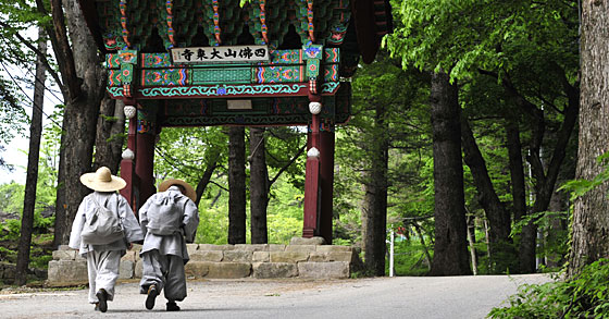 한국 네티즌본부카페 작성: ← 변조방지표시