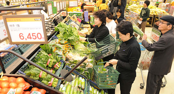 변조방지표시= Daun Cafe: 한국 네티즌본부← 작성 Netizen Photo News.