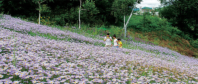 만든곳: 한국 네티즌본부 카페