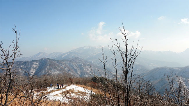 작성: 한국 네티즌본부