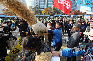 국민 주식 자리 잃어가는 쌀… 정치권 퍼주기에 영세화 탈피못해
