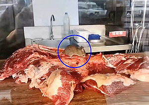 훠궈 체인점서 고기 뜯어먹는 쥐 영상 공개···中 또 ‘위생’ 논란