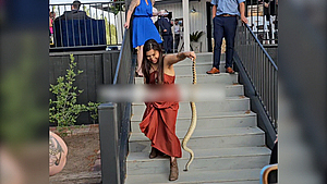 언니 결혼식에 출몰한 뱀…여동생이 맨손으로 퇴치