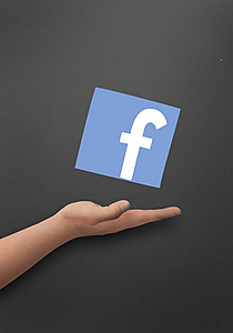 페이스북, 인스타·트위터 성장세에 월 이용자 1000만 명 턱걸이